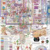【其他】人类大脑功能高清图 【其他】人类大脑功能高清图